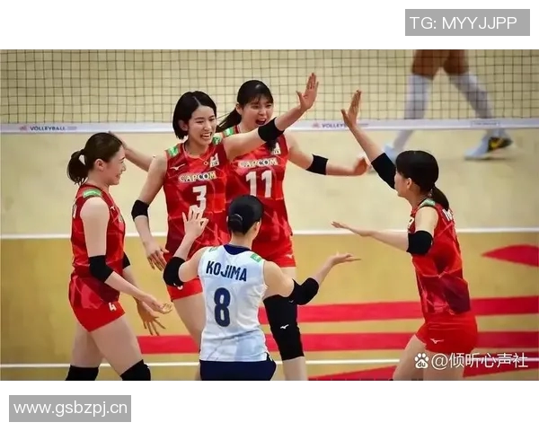 成都排球队实力强劲最新排球力量排行榜前十名揭晓